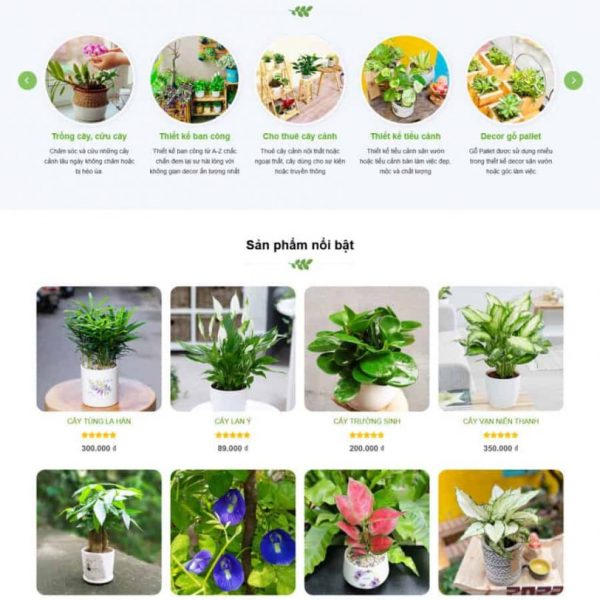 Theme wordpress cây xanh 3