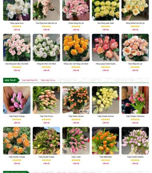 Theme wordpress shop hoa 5