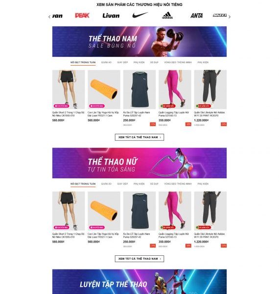 theme WordPress Shop Bán Giày